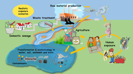 生态中心等发表纳米材料的环境健康风险与纳米产业的可持续发展综述论文